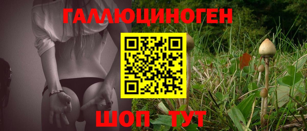 Псилоцибиновые грибы MAGIC MUSHROOMS Ачинск